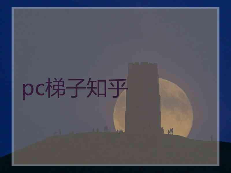 pc梯子知乎