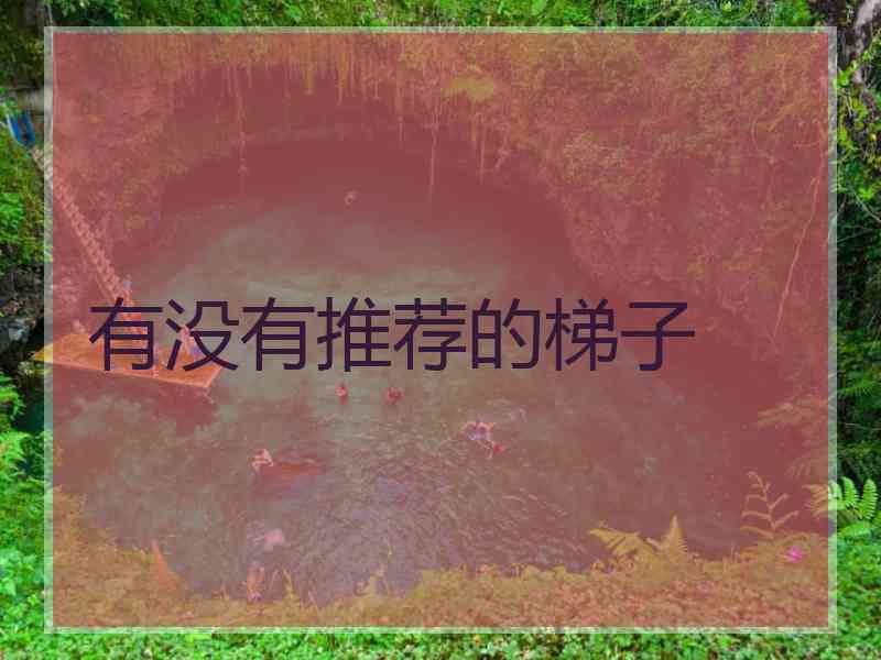 有没有推荐的梯子