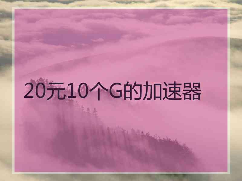 20元10个G的加速器