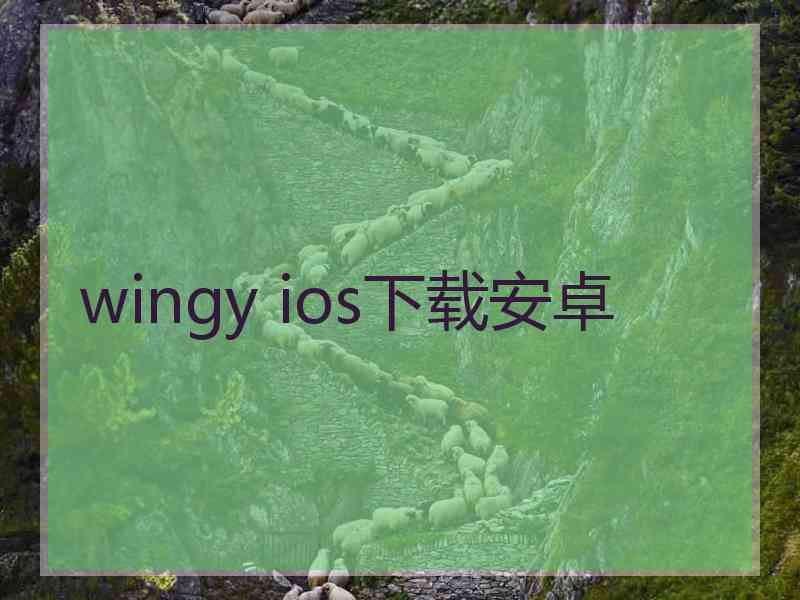 wingy ios下载安卓
