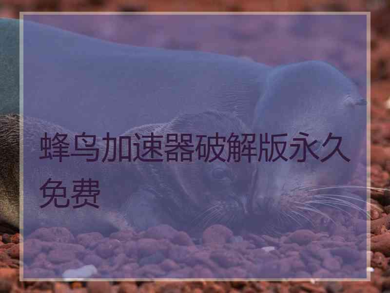 蜂鸟加速器破解版永久免费
