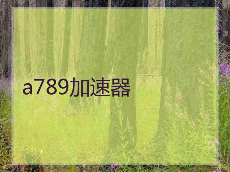 a789加速器