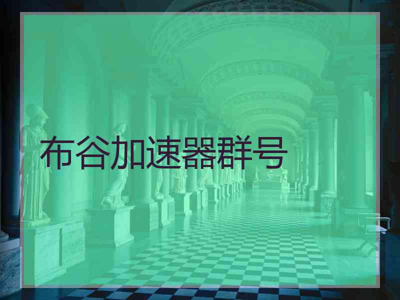 布谷加速器群号