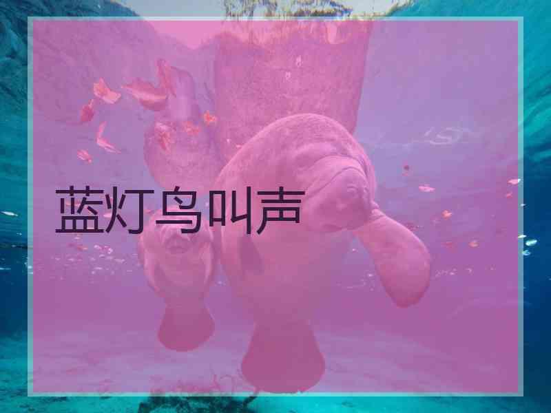 蓝灯鸟叫声