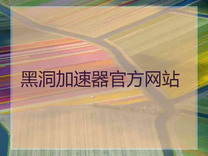 黑洞加速器官方网站