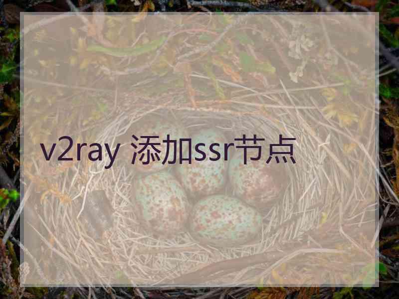 v2ray 添加ssr节点