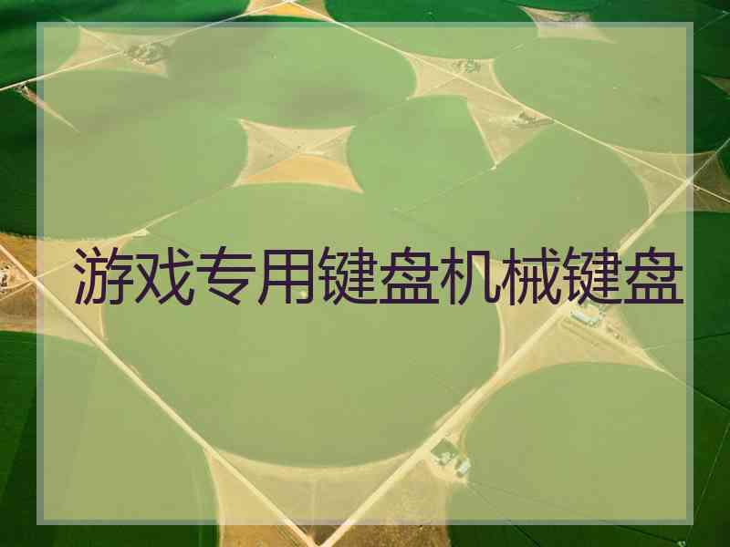 游戏专用键盘机械键盘