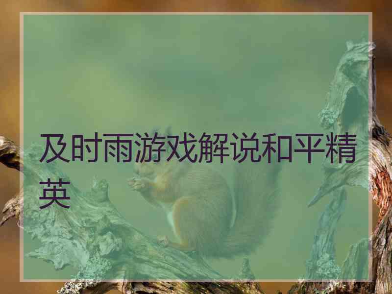 及时雨游戏解说和平精英