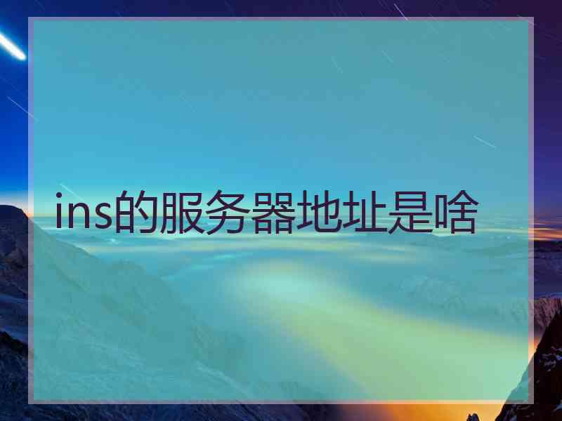 ins的服务器地址是啥