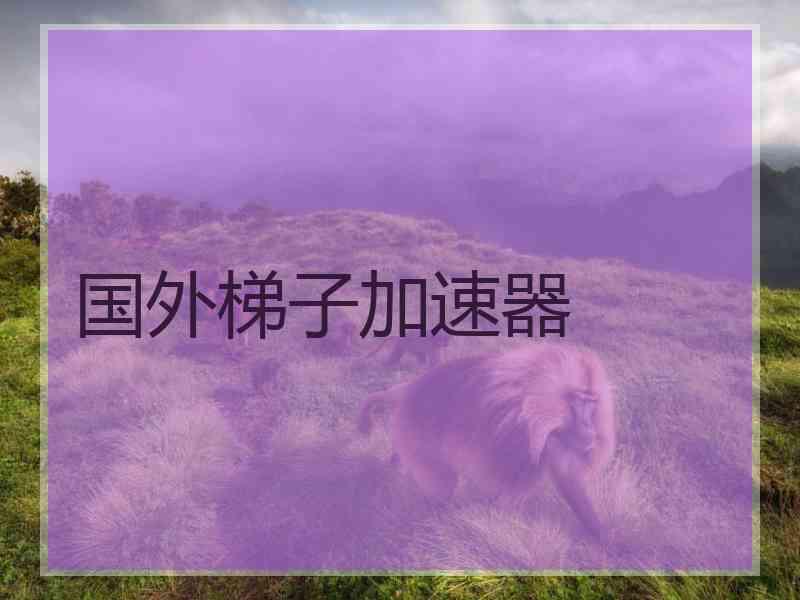 国外梯子加速器
