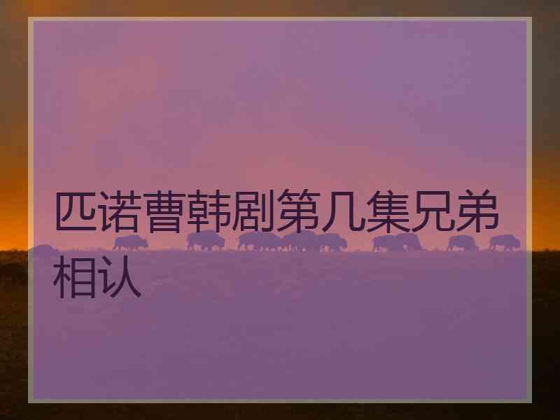 匹诺曹韩剧第几集兄弟相认