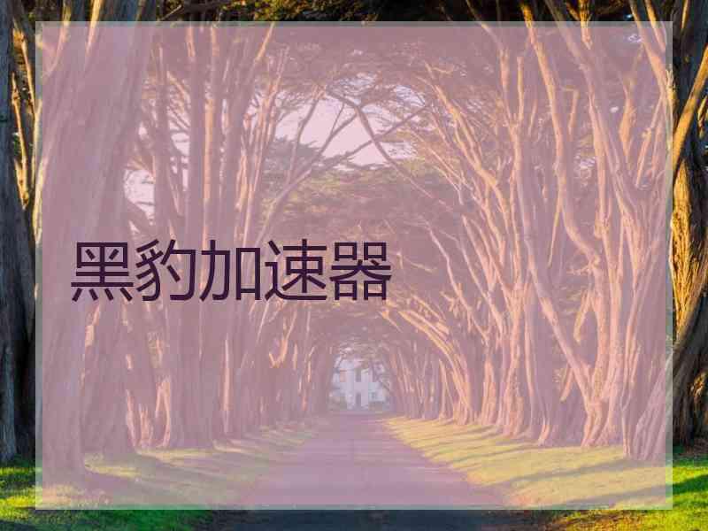 黑豹加速器