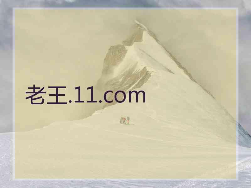 老王.11.com