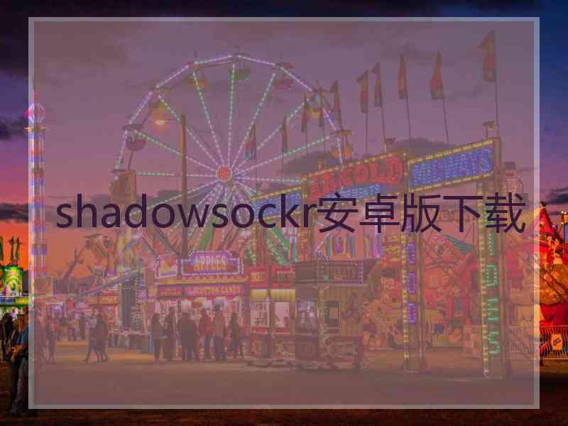 shadowsockr安卓版下载