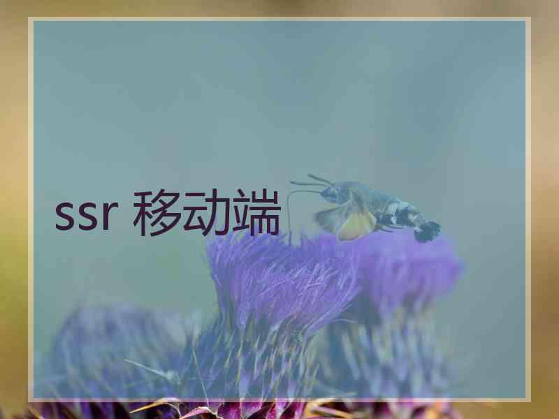 ssr 移动端