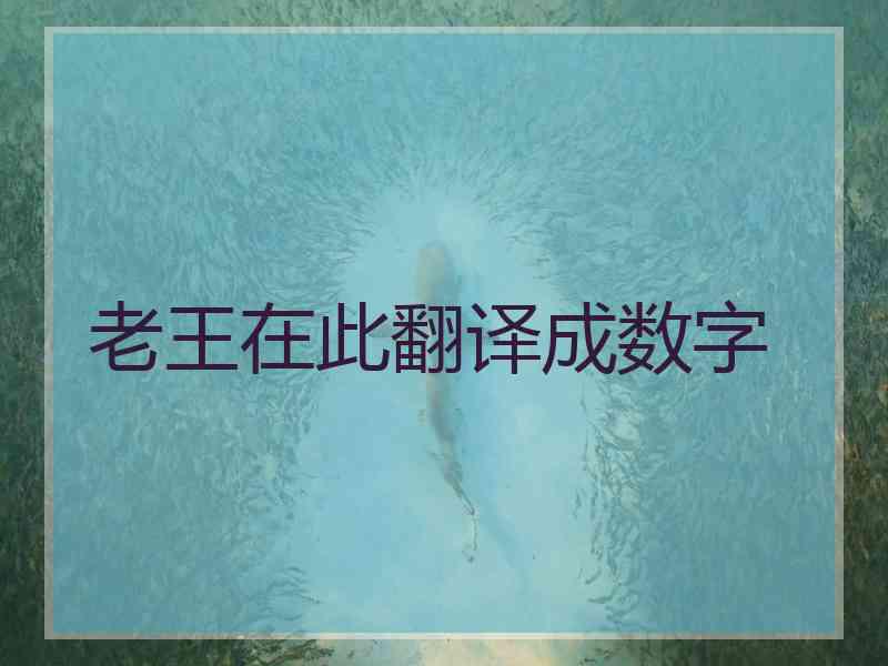 老王在此翻译成数字