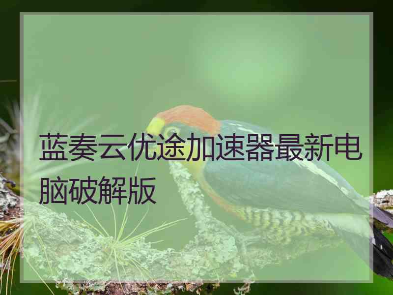 蓝奏云优途加速器最新电脑破解版