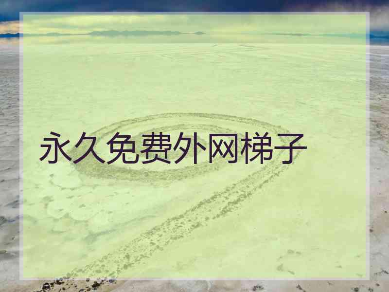 永久免费外网梯子