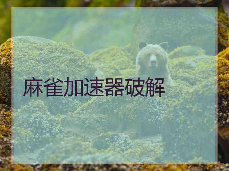 麻雀加速器破解