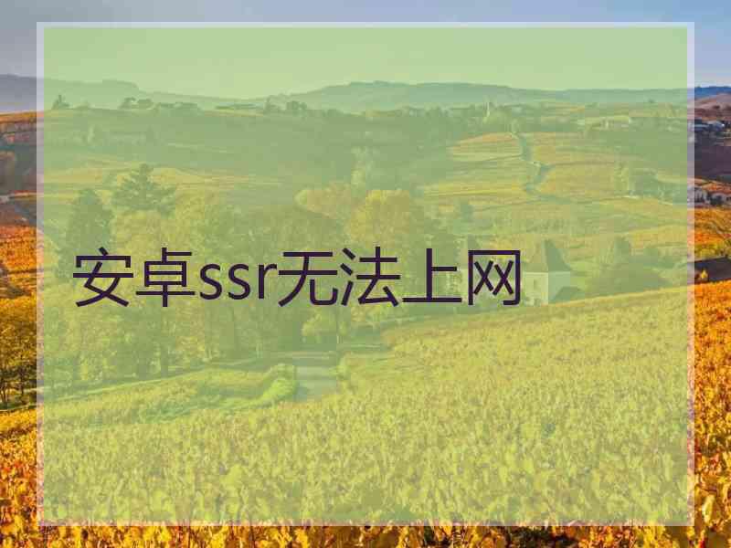 安卓ssr无法上网