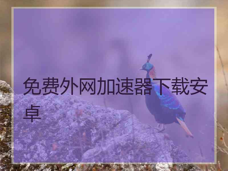 免费外网加速器下载安卓