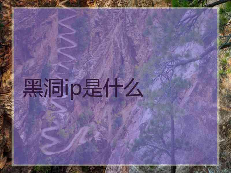 黑洞ip是什么