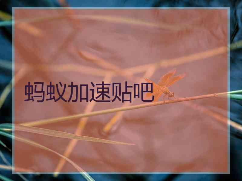 蚂蚁加速贴吧