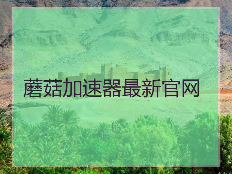 蘑菇加速器最新官网