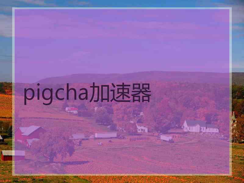 pigcha加速器